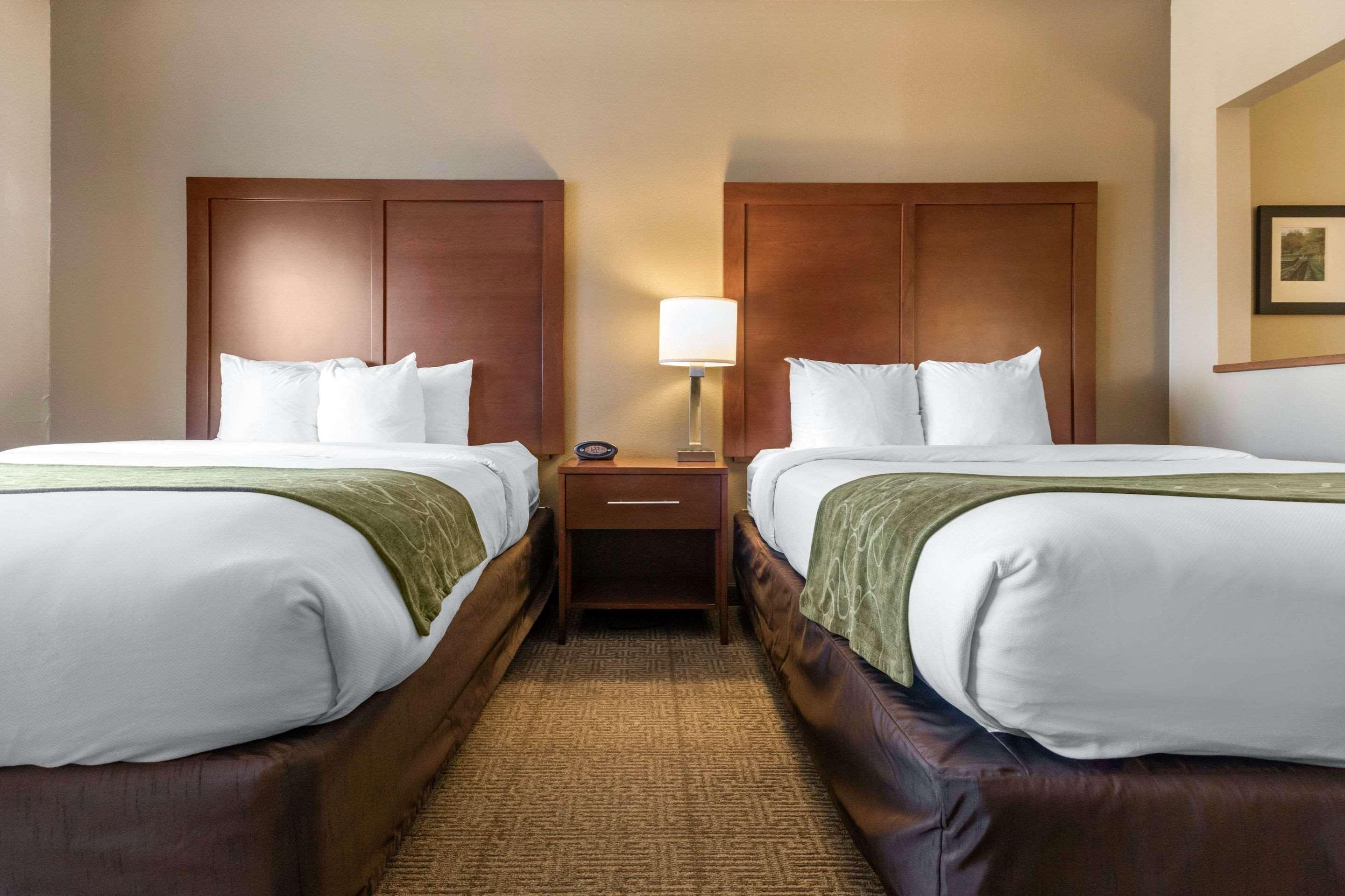 Comfort Suites Keeneland Lexington Exterior foto